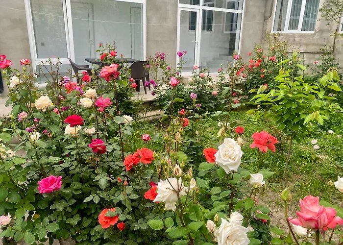 House In Quba